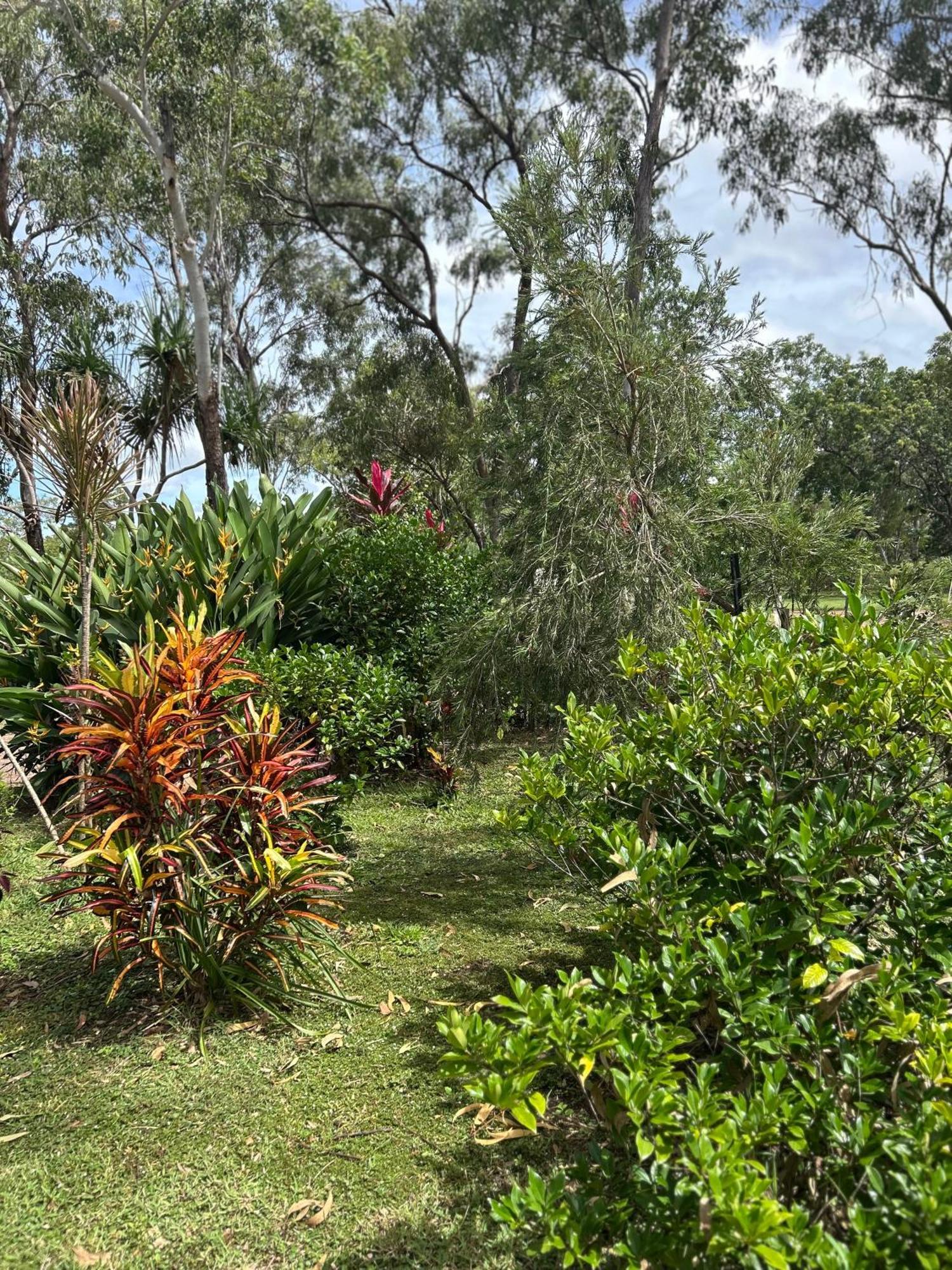 Litchfield Tropical Stay Batchelor Екстер'єр фото